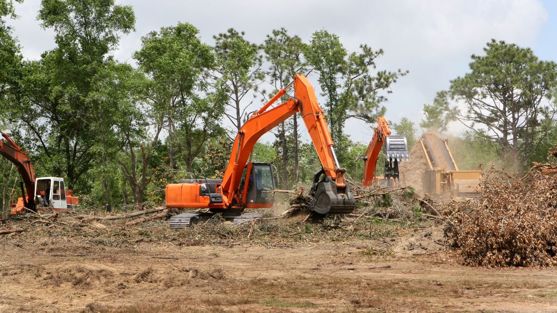 Orange excavators clearing trees and debris in forested construction site